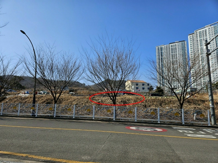 본건 전경(동측에서 촬영)
