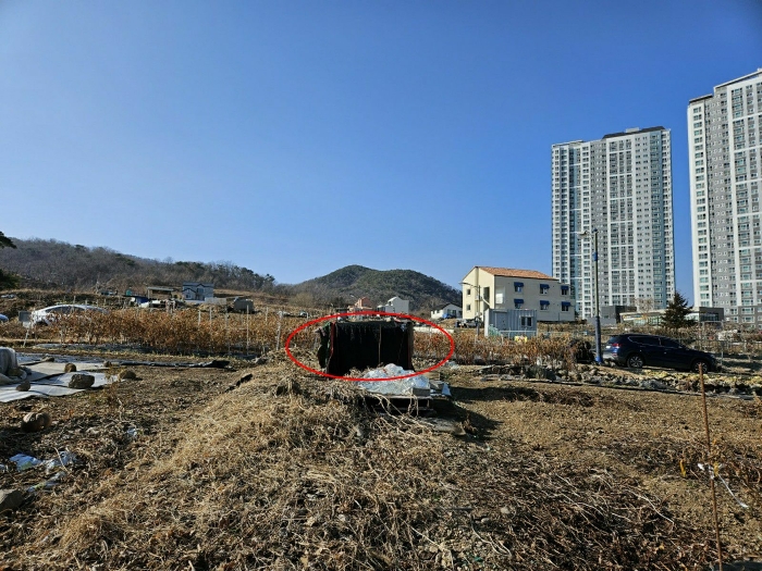 창고(감정평가하지 않음)