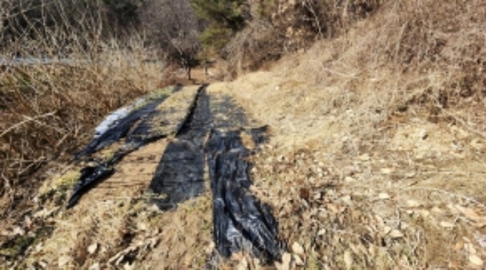 본건 8 일부 전으로 이용중이나 정확한 경계측량을 필요로 함