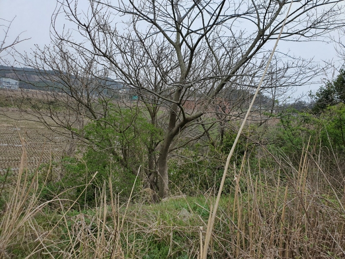 일련번호(4)수