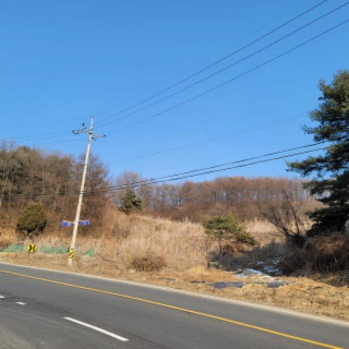 본건 토지 전경