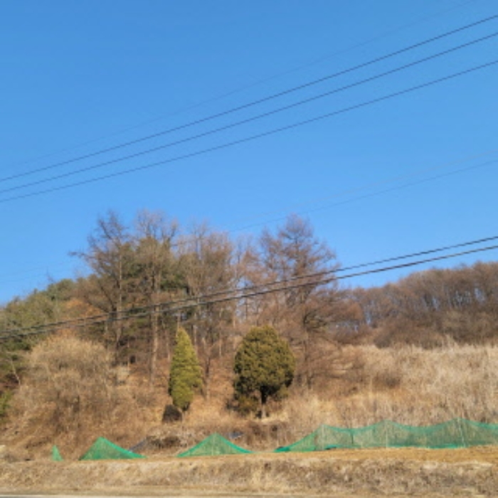 본건 토지 전경