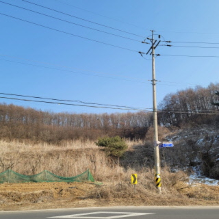 본건 토지 전경