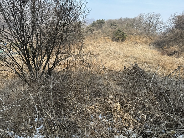 기호(1 2 7) 전경