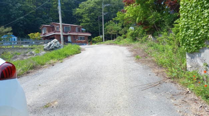 본건 토지 진입