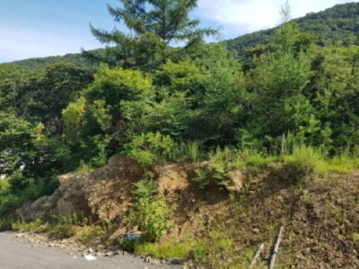 7,12,21번 토지(13번 현황 도로 아래쪽에 위치)