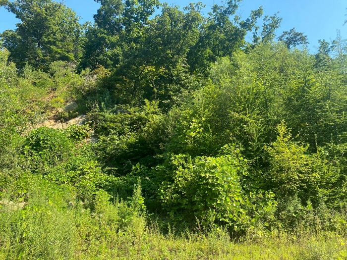 【 일련번호(1),(2) 】