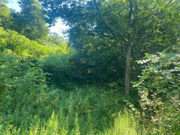 【 일련번호(4) 】