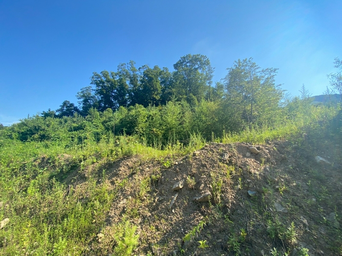 【 일련번호(6) 】