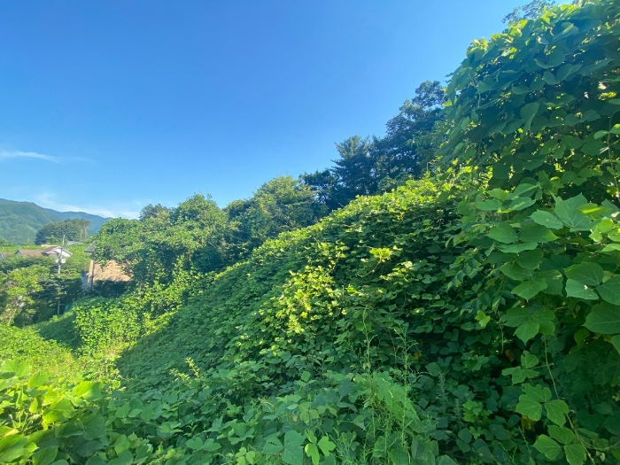 【 일련번호(8) 】