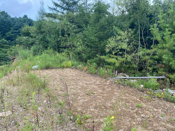 【 일련번호(12) 】