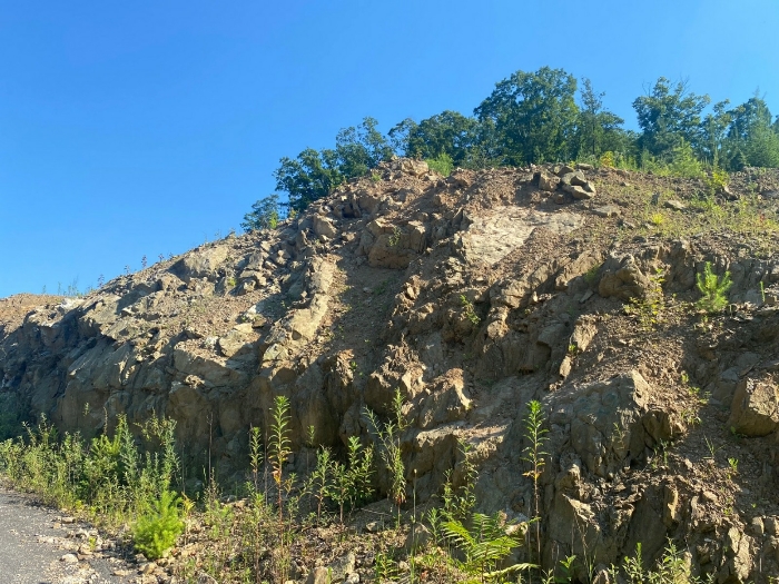 【 일련번호(15) 】