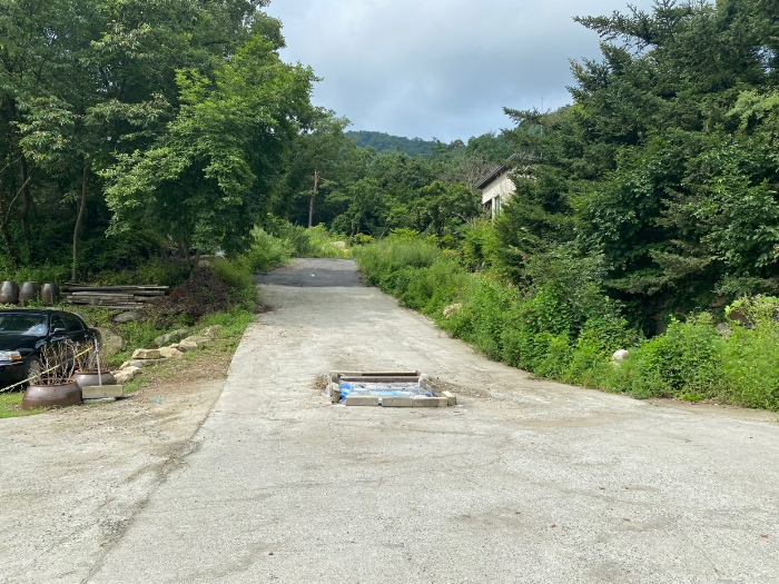 【 일련번호(17) 】