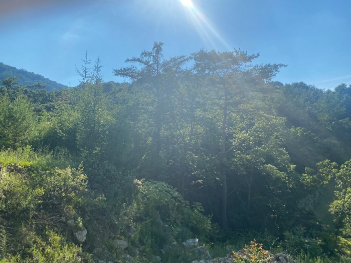 【 일련번호(19) 】