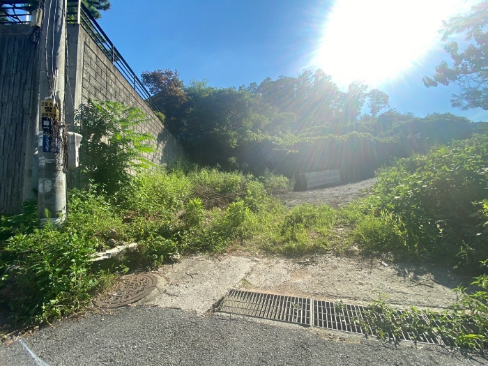 【 일련번호(21) 】