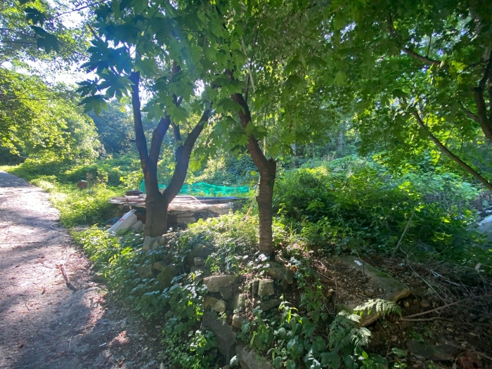 【 일련번호(3) 】