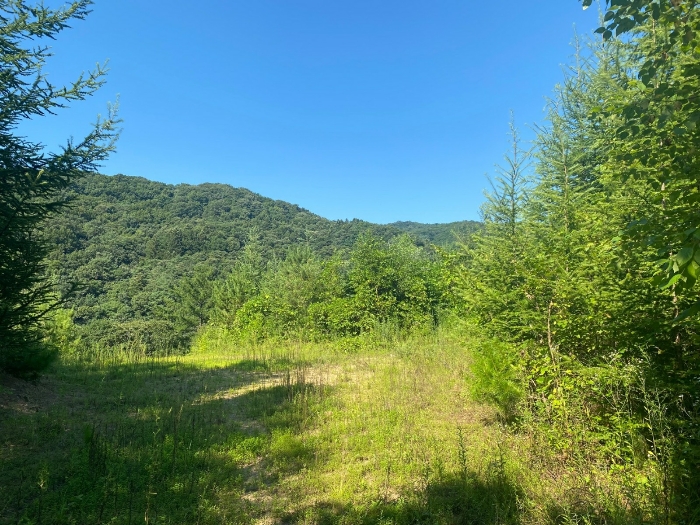 【 일련번호(5) 】