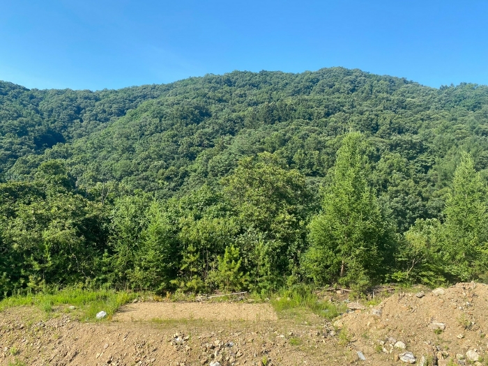 【 일련번호(7) 】