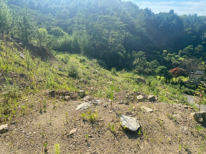 【 일련번호(9) 】