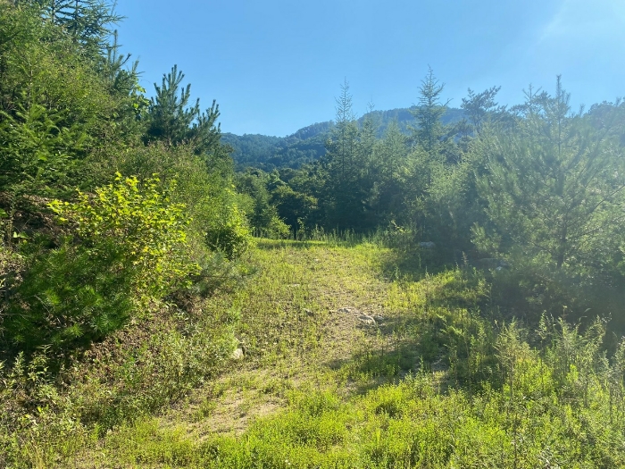 【 일련번호(11) 】