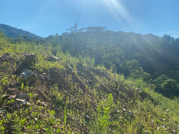 【 일련번호(14) 】