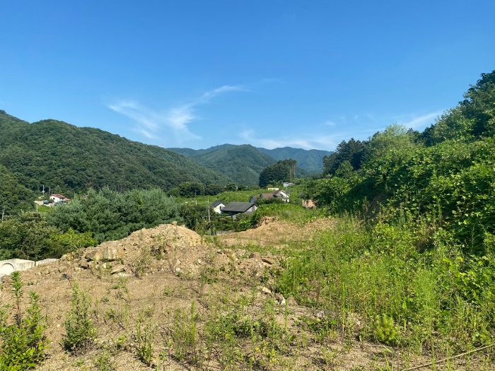 【 일련번호(16) 】