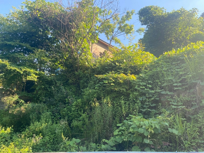 【 일련번호(20) 】