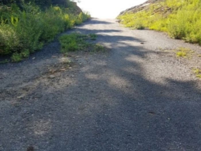 13번 토지 현황(진입로의 일부)