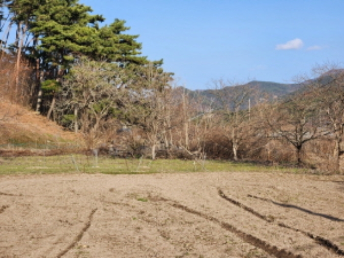 부동산표시 제1호