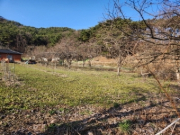 부동산표시 제1호