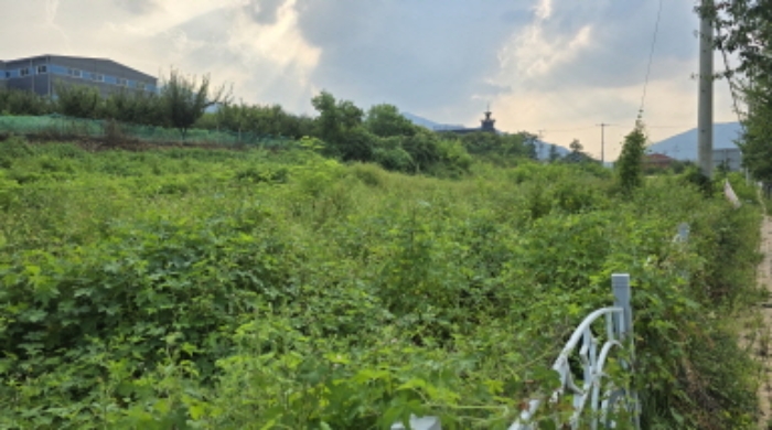 경북 칠곡군 북삼읍 어로리 607-4, 608-3.양 지상의 전경