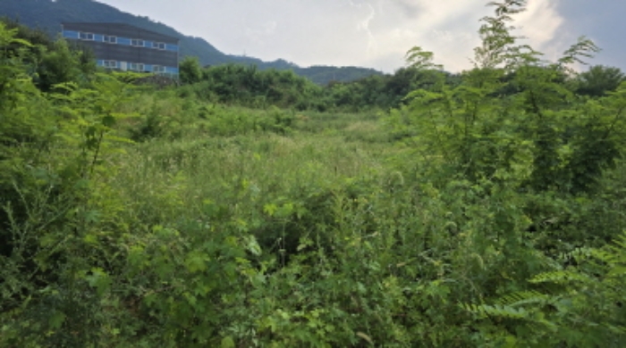 경북 칠곡군 북삼읍 어로리 607-4, 608-3.양 지상의 전경