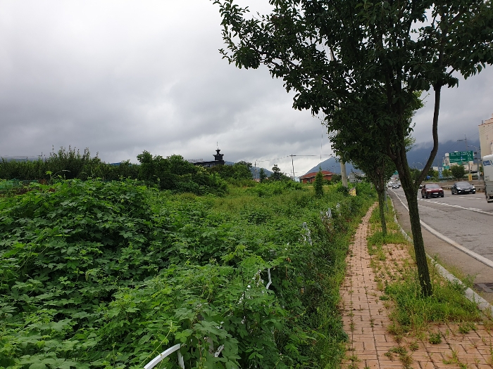 기호(2) 북동측 경계인근