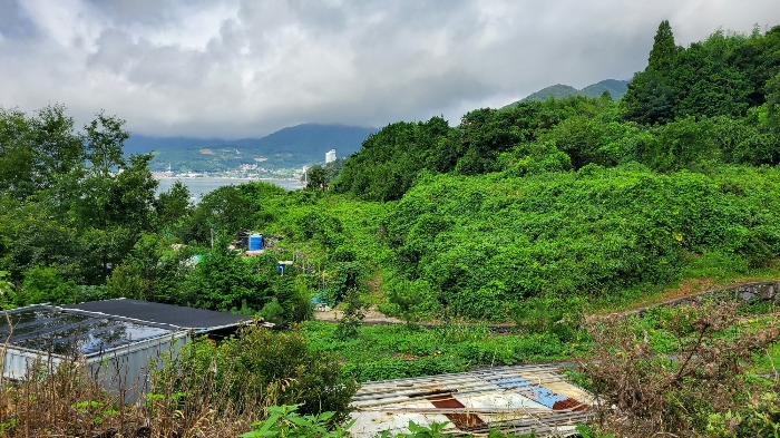 [ 본건 전경