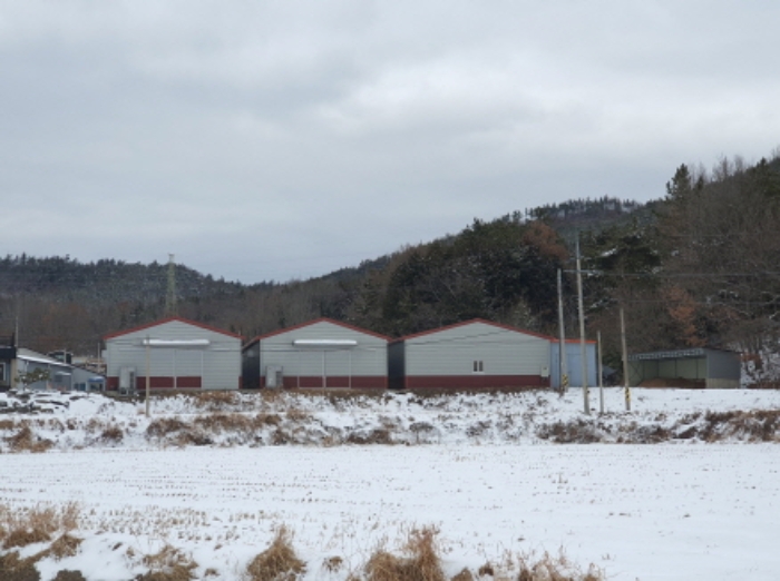 본건 부동산 전경