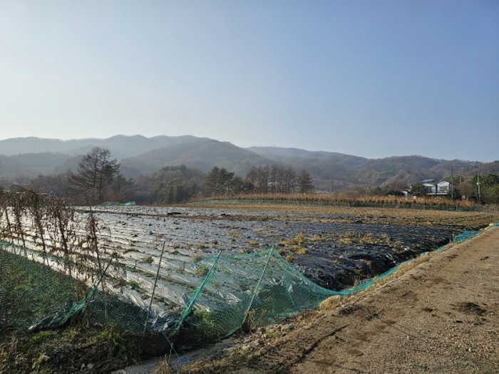 본건 남동측 전경