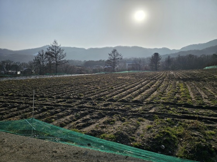 일련번호(2) 북동측 전경