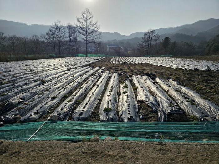 일련번호(3) 북동측 전경