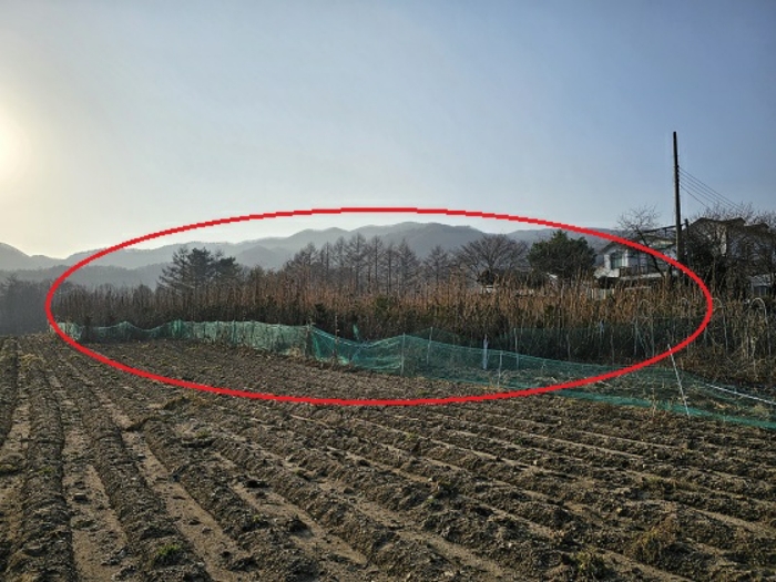 일련번호(4) 토지 일부 및 일련번호(6) 지상 소재 제시외수목
