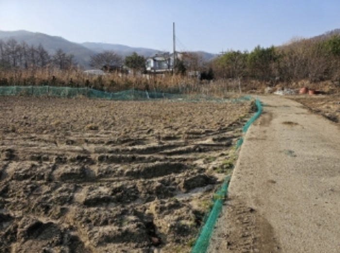 기호 1번 근거리에서 촬영한 것임