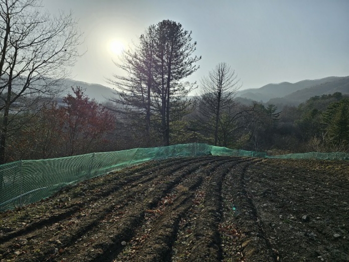 일련번호(5) 동측 전경