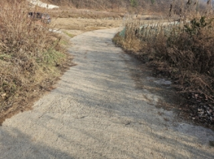 기호 1번 근거리에서 촬영한 것임