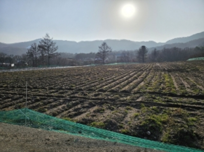 기호 2번 근거리에서 촬영한 것임