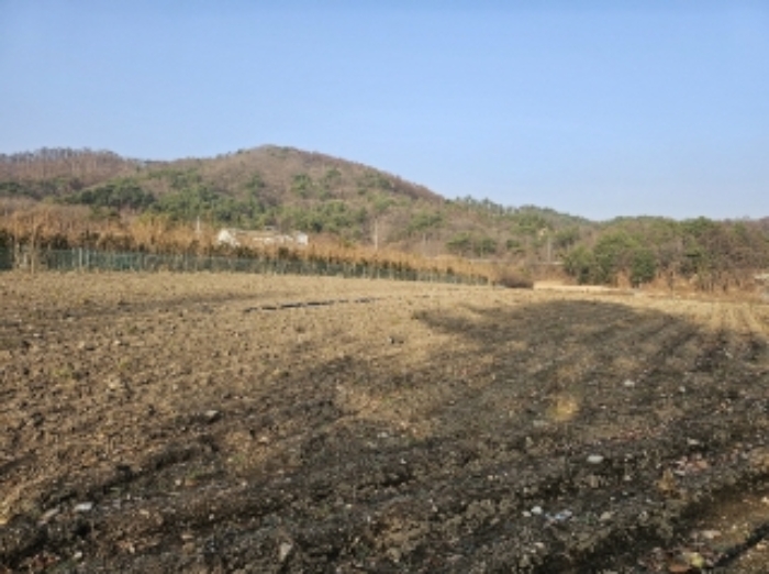 기호 4번 근거리에서 촬영한 것임