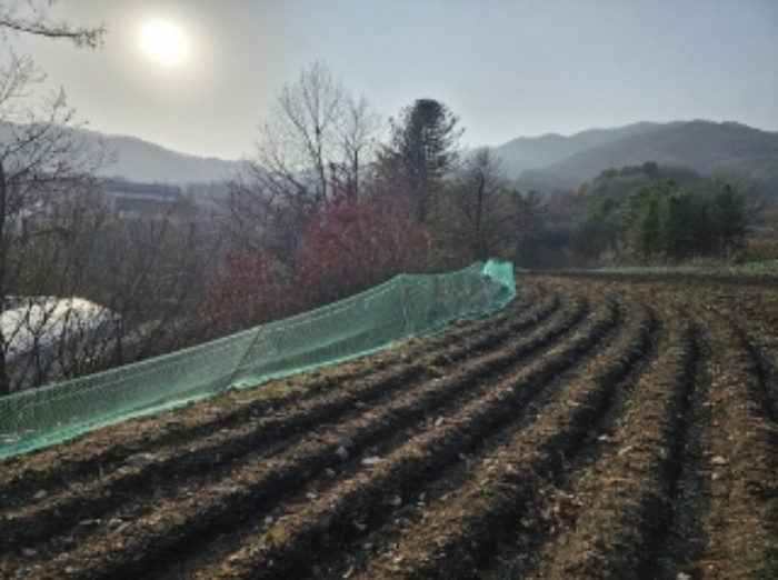기호 5번 근거리에서 촬영한 것임