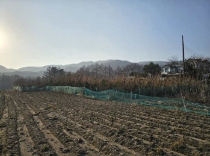 기호 4,6번 일부 지상에 소재하는 것으로 보이는 다수의 주목