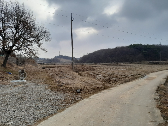 본건 전경(북동측에서 촬영)