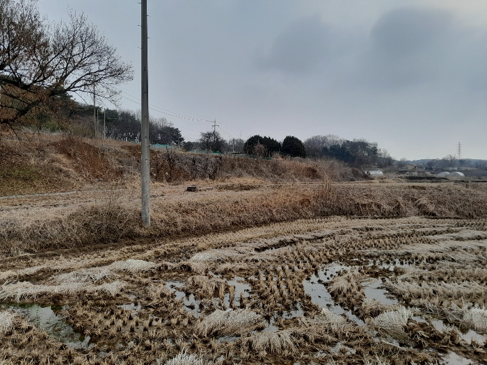 본건 전경(남동측에서 촬영)