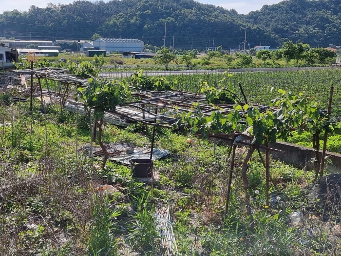 기호(1) 지상 철제구조물(평가외) 전경