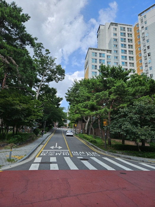 본건 단지 북측 인접도로 주위환경